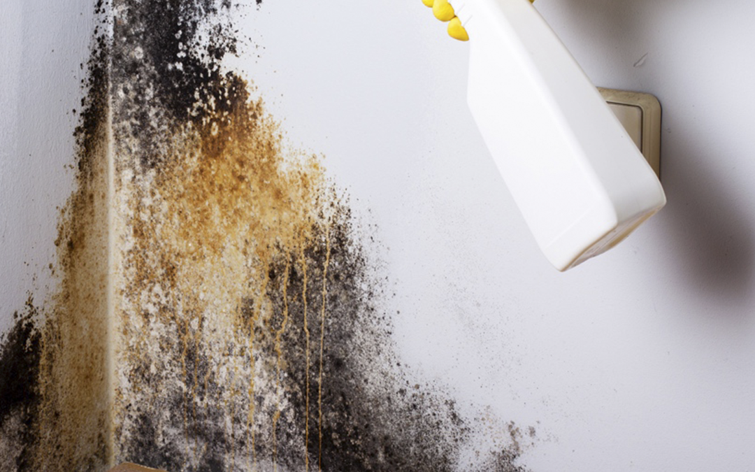 ENFERMEDADES AMBIENTALES